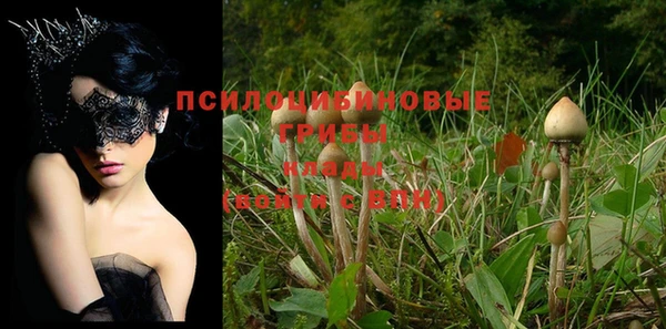 MDMA Алексеевка