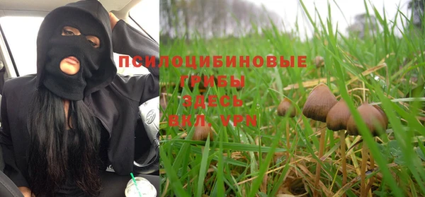 мяу мяу мука Алексин