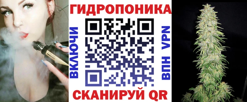 наркотики  Заинск  Бошки Шишки сатива 